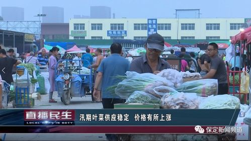 保定汛期蔬菜水果市場動態 葉菜供應穩定價漲，大蔥批發價回歸一元時代
