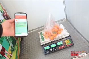 泰安首座24小時智能無人果蔬店落地泮河社區(qū)，新鮮水果零售開啟智慧新篇章