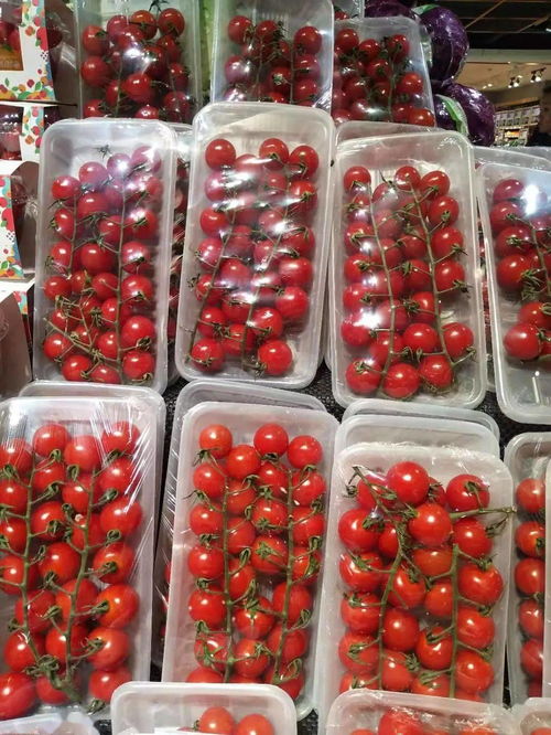 氧心園精品蔬菜 新鮮豌豆，一顆來(lái)自田野的美味