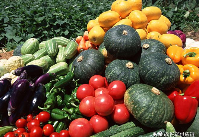 蔬果直達(dá)，鮮意到家 智慧配送系統(tǒng)如何賦能農(nóng)貿(mào)市場(chǎng)零售新生態(tài)