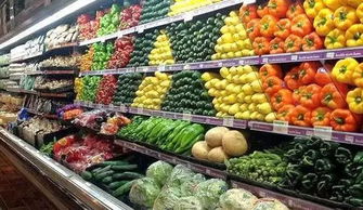 通脹數(shù)據(jù)下的菜籃子之重 蔬菜價(jià)格高漲與宏觀政策的解讀